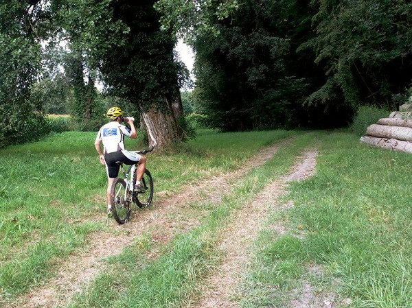 GreenMan Alsace 2016