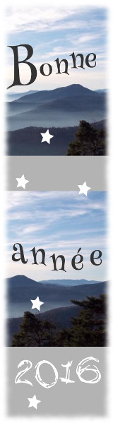 Bonne ann&eacute;e 2016 !